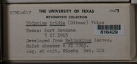 Image Associated With the Occurence